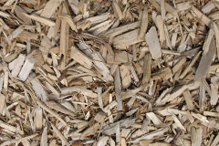biomass boilers Waen Pentir